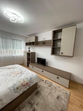 Apartament Denisa